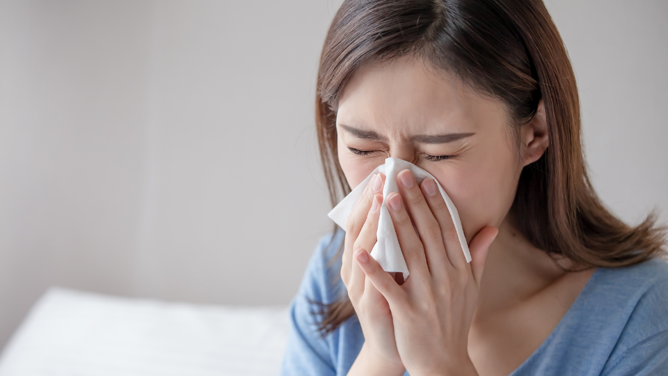 Schnupfen: Ist es eine Erkältung oder eine Allergie?