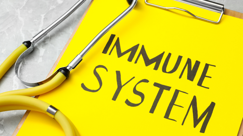 Der Herbst und das Immunsystem