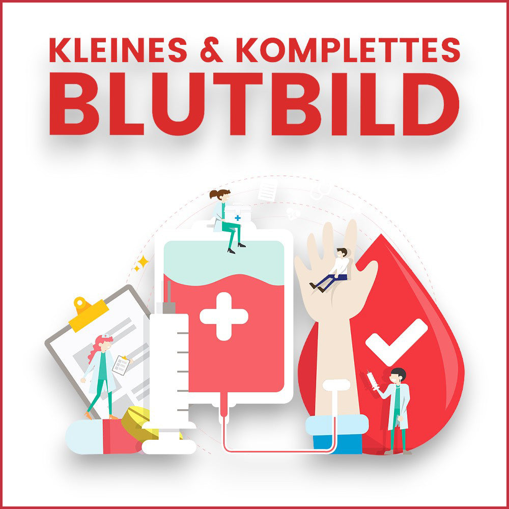 Checkup-Kit für kleines und großes Blutbild von blue balance® und ETH Meditec zur Überwachung von Blutplättchen (Thrombozyten) und anderen wichtigen Blutwerten bequem von Zuhause aus.