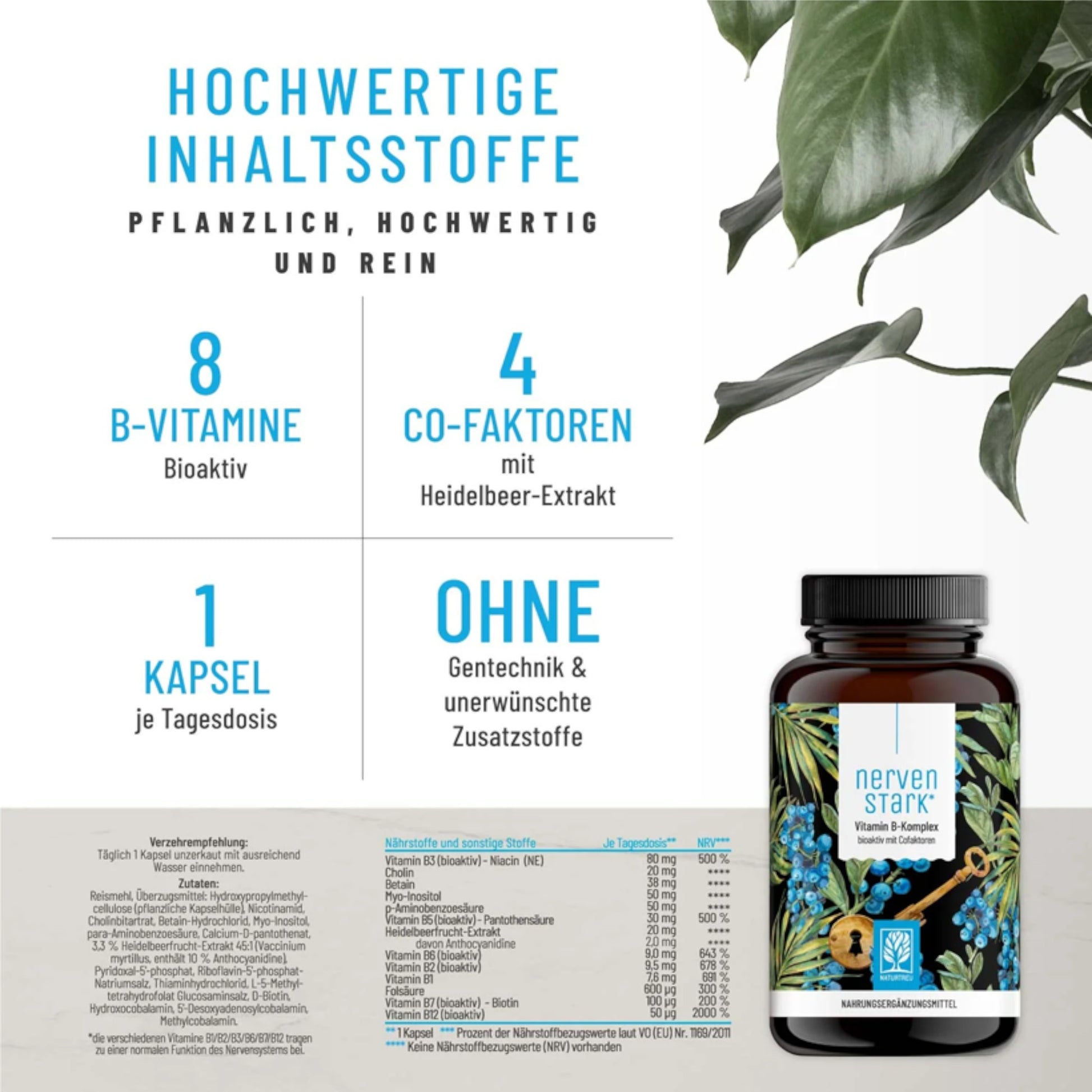 "Datenblatt für hochdosierten Vitamin B-Komplex Nervenstark von Naturtreu, natürliche Nahrungsergänzung für die Gesundheit" 2 von 2