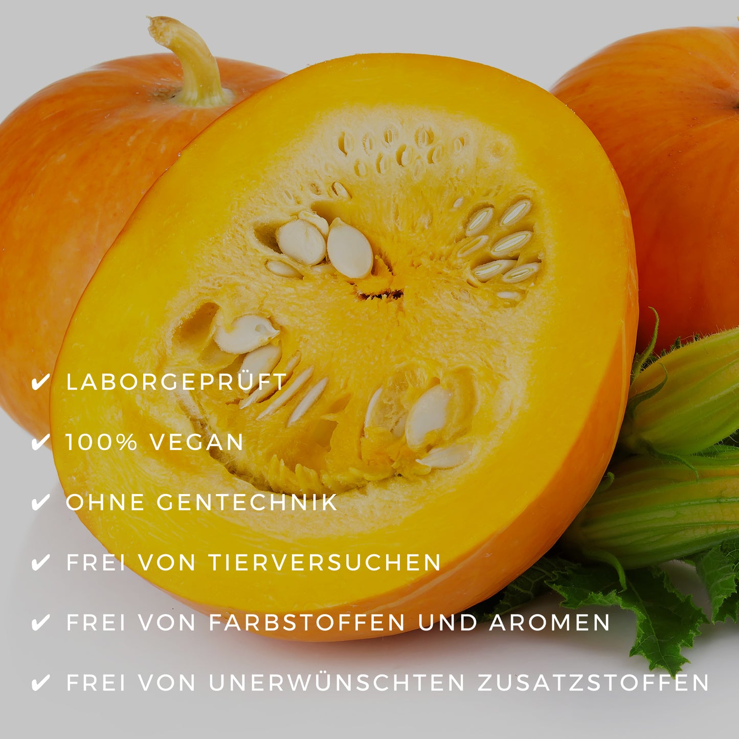 VIOVIA, ARGIVIT-PLUS, Aminosäuren, L-Arginin, Vitamine, Nährstoff, Laborgeprüft, 100%-vegan, Ohne Gentechnik, Frei von Tierversuchen, Frei von Farbstoffen und Aromen, Frei von unerwünschten Zusatzstoffen, eth-meditec.shop